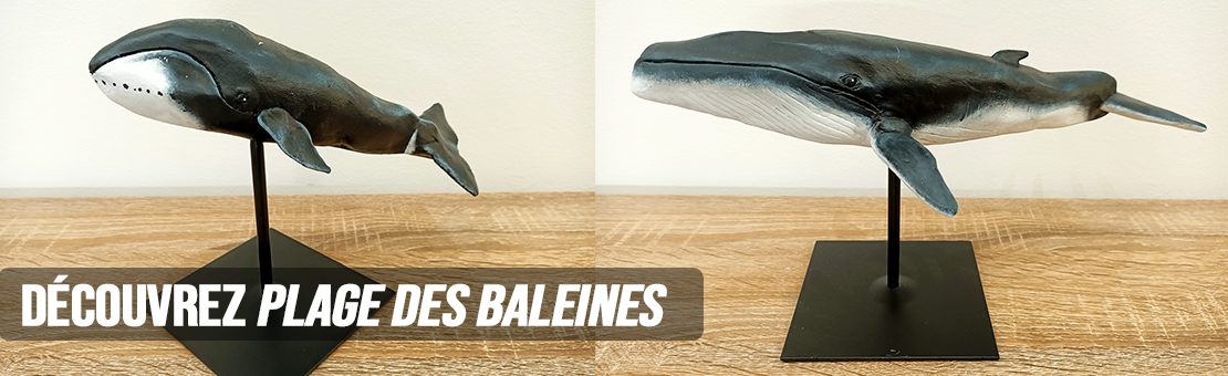 Plage des Baleines - des nouvelles sculptures à la galerie